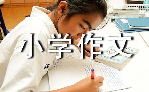 如何为篮球教练提供持续的专业辅导_0